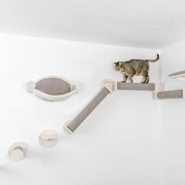 Set componibile fissaggio a muro arrampicamento per gatti Trixie   bauzaarit.myshopify.com