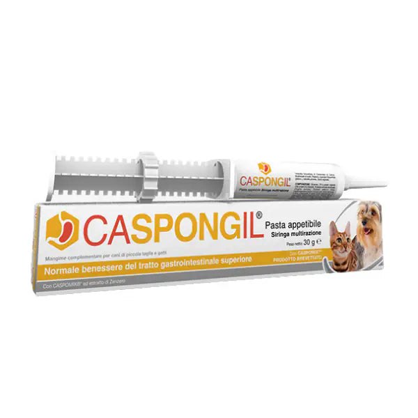 Shedir Pharma Caspongil Pasta Gastrointestinale Appetibile   bauzaarit.myshopify.com