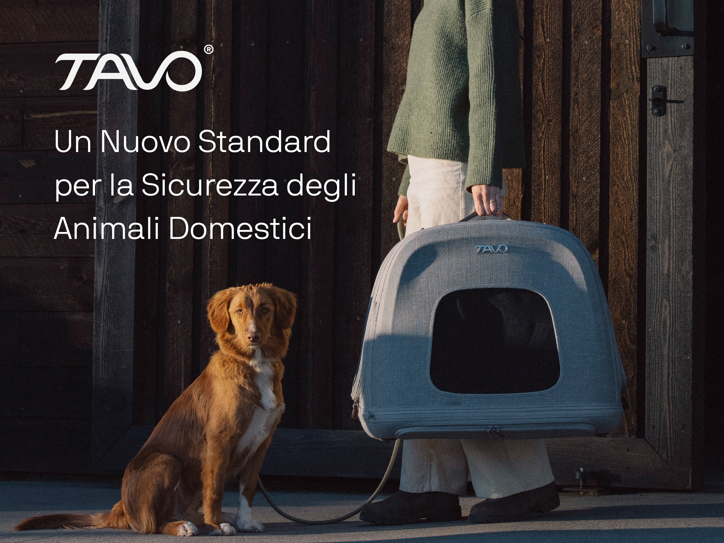 scopri tavo: un nuovo standard per la sicurezza degli animali domestici. Sicurezza e design!