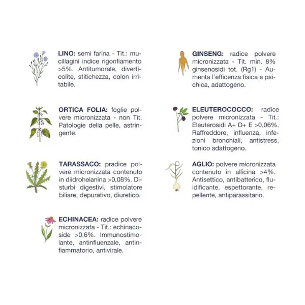 Vet Line Secco Monoproteico Cane Adult Taglia Piccola Bufalo   bauzaarit.myshopify.com
