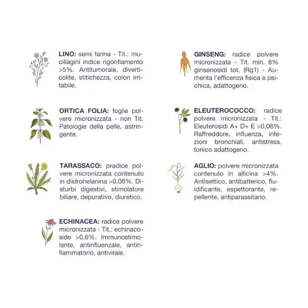 Vet Line Secco Monoproteico Cane Adult Taglia Piccola Pesce   bauzaarit.myshopify.com