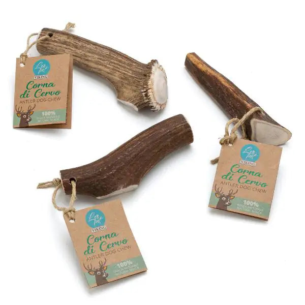 Viking Leopet Corna di Cervo Chiuse   bauzaarit.myshopify.com