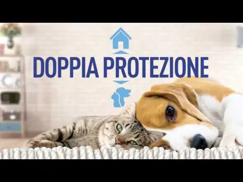 Virbac Effipro Duo Spot-On Gatti   bauzaarit.myshopify.com