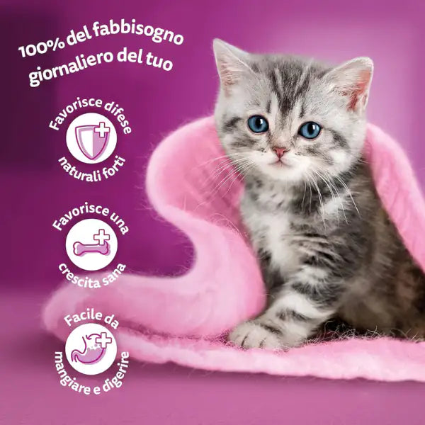 Whiskas Pure Delight Junior ricette in gelatina Multipack 4 pezzi da 85 gr   bauzaarit.myshopify.com