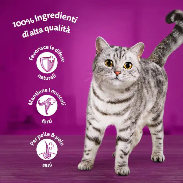 Whiskas Tasty Mix Multipack 4 pezzi da 85 gr   bauzaarit.myshopify.com