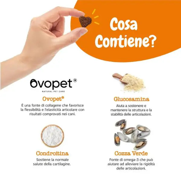 Zesty Paws Hip&Joint Chews Mobilità integratore per cani Alimento complementare   bauzaarit.myshopify.com