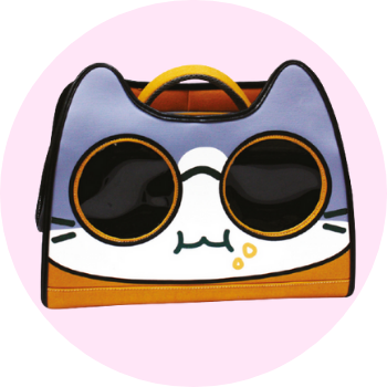 Borse per gatti