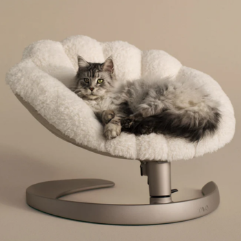 Cucce Luxury
