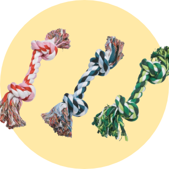 Corde