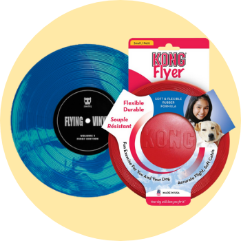 Frisbee