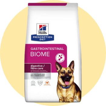 Crocchetta gastrointestinal per cani