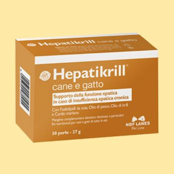 Fegato e pancreas