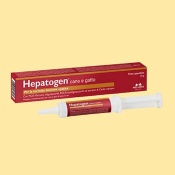 Fegato e pancreas