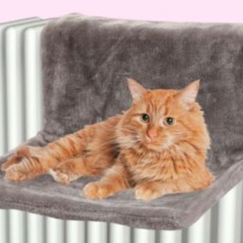 Amaca per gatto