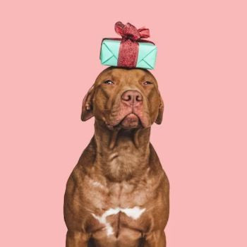 Idee Regalo