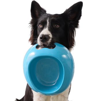 Cibo per cani