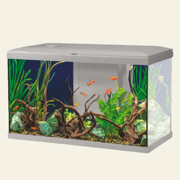 Acquariologia