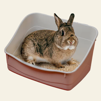 Lettiere per roditori