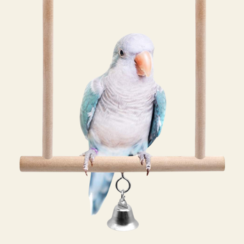 Gabbie e giochi