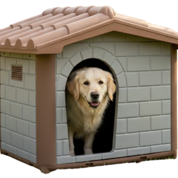Cucce per cani