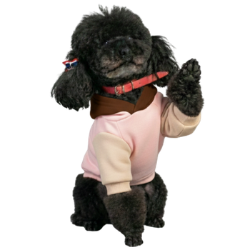 Abbigliamento per cani