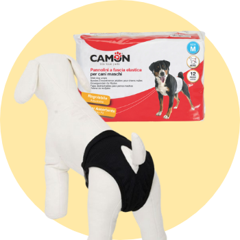Mutandine per cani