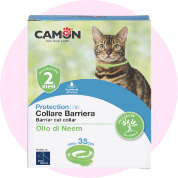 Olio di neem per gatti