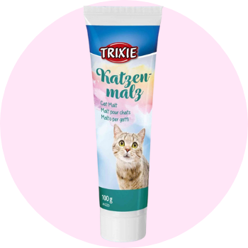 Paste e creme