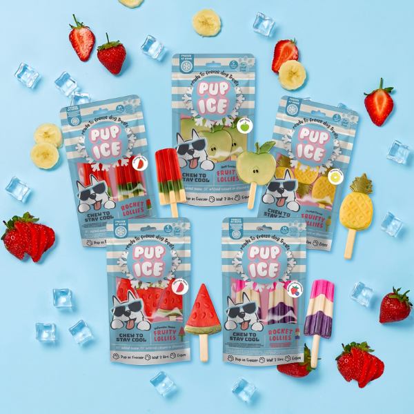 Snack per cani Gelato pronto all'uso Pup Ice 90 gr