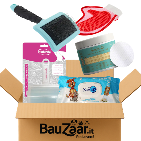Bundle convenienza: muta stagionale Cane