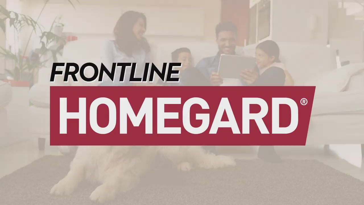 Carica video: Frontline Homegard Spray insetticida e acaricida per l’ambiente domestico