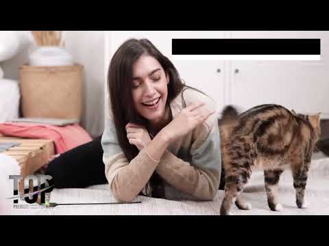 Carica video: 
