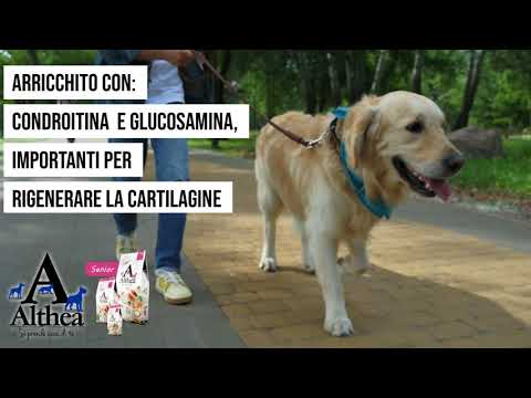 Carica video: 