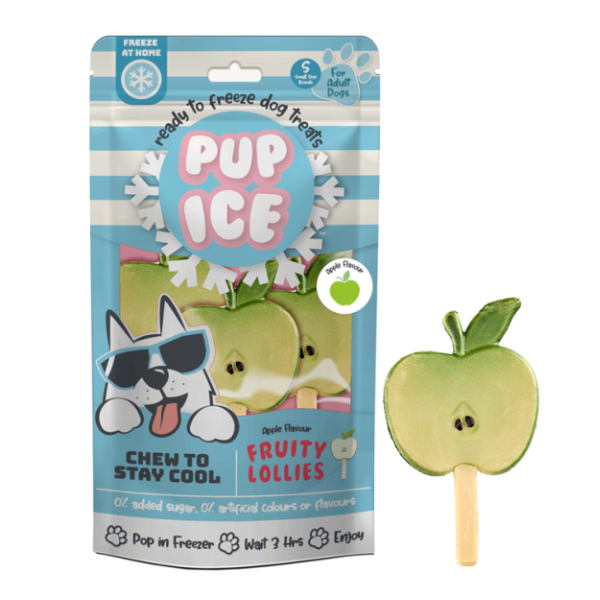 Snack per cani Gelato pronto all'uso Pup Ice 90 gr