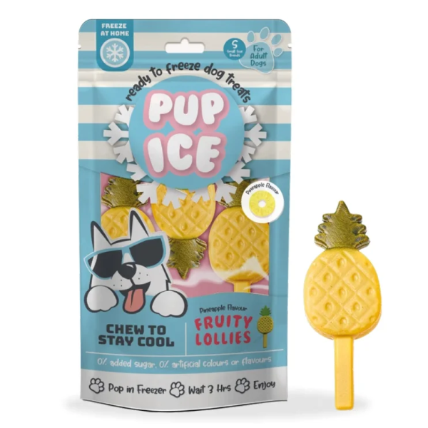 Snack per cani Gelato pronto all'uso Pup Ice 90 gr