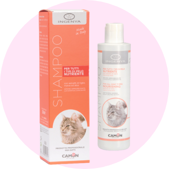 Shampoo per gatti